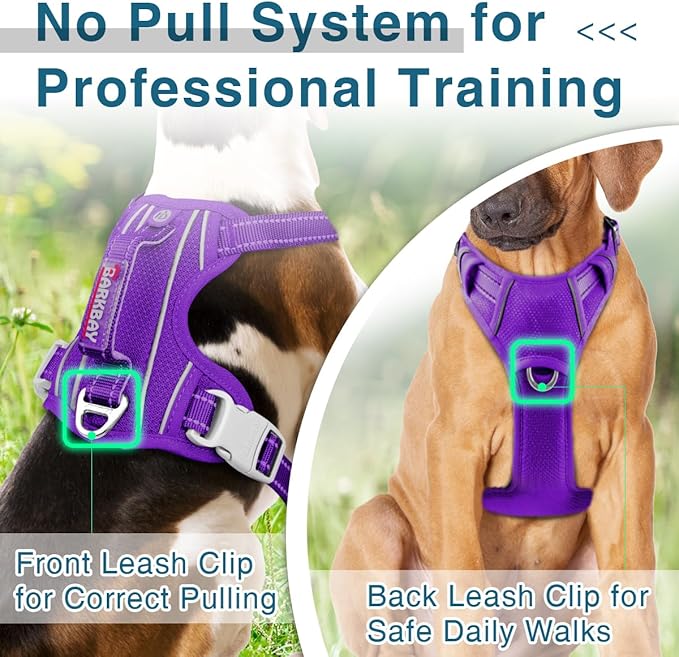 BARKBAY Dog Harness No Pull with ID Tag Pocket - Heavy Duty, Reflective, Easy Control for Large Dogs(Purple,XL)