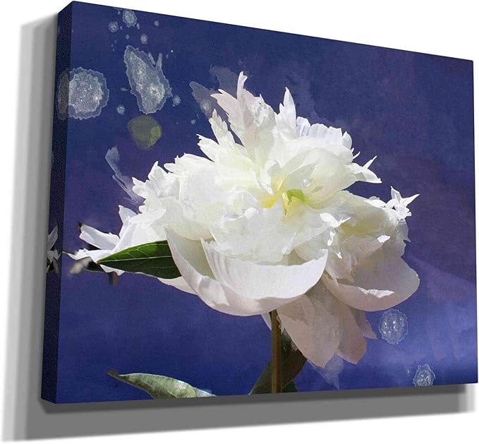 Epic Graffiti 'White Peony-Scents of Heaven' by Irena Orlov, Canvas Wall Art, 34"x26"