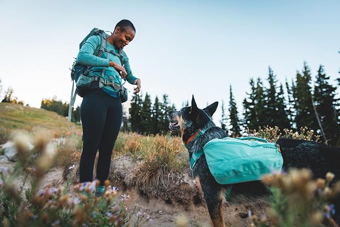 Ruffwear, Front Range Dog Collar, Adjustable Tubelok Webbing, Lightweight, Side Release Buckle, Aluminum V-Ring, Durable for Everyday Use, Coastal Fade, 20"-26"