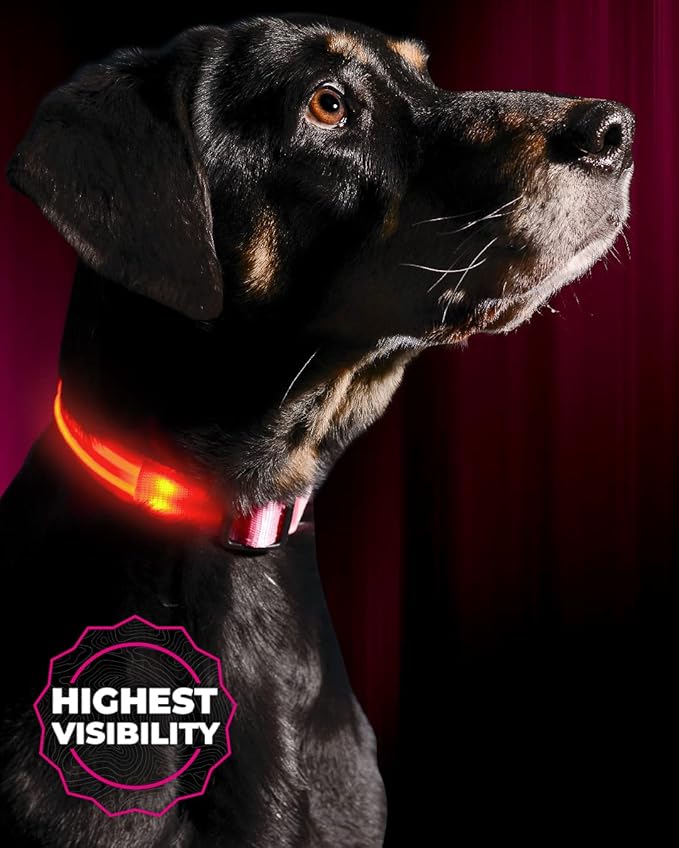 Illumiseen LED Dog Collar USB Rechargeable - Bright & High Visibility Lighted Glow Collar for Pet Night Walking - Weatherproof, in 6 Colors & 6 Sizes (Pink XX-Small)