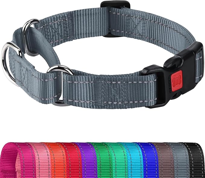 Joytale Martingale Collar for Dogs, Reflective Heavy Duty for Safety, Quick Release Buckle, Adjustable Nylon Collars for Puppy and XSmall Dogs Walking Training, Gray,XS