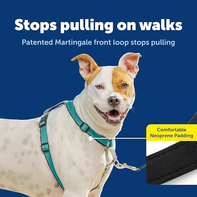 PetSafe 3-in-1 Harness - Comfortable Easy-Walk Dog Chest Harness with Front Leash Attachment to Reduce Pulling, Choking & Gagging - Dog Obedience Gear - Medium - Teal