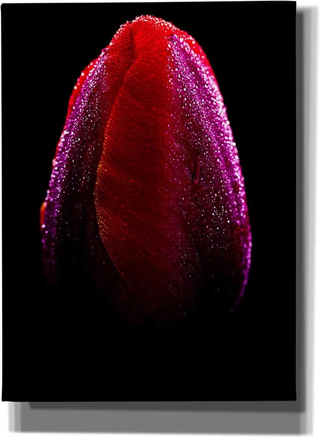 Epic Graffiti 'Wet' by Darren White, Canvas Wall Art, 40" x 54"