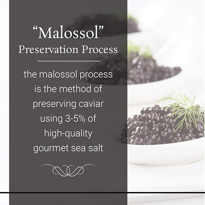 OVERNIGHT SHIPPING - OLMA American Paddlefish Black Caviar - Medium Grey Pearls, Smooth Flavor - 17.6 oz / 500 g