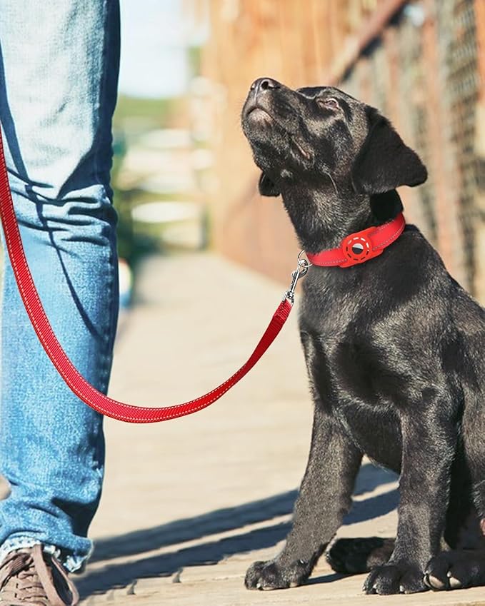 Reflective Dog Leash 6ft Soft Padded Handle Nylon Lead for Medium & Large Dogs, Durable Walking Training Leash for Night Safety (Red,1Inch Wide)