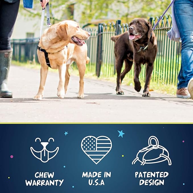 2 Hounds Design Freedom No Pull Dog Harness, Adjustable Harness and Leash Set, Easy Walking & Comfortable Control, Fits Small, Medium & Large Dogs, Solid Colors, Made in USA, 5/8" XS, Rose