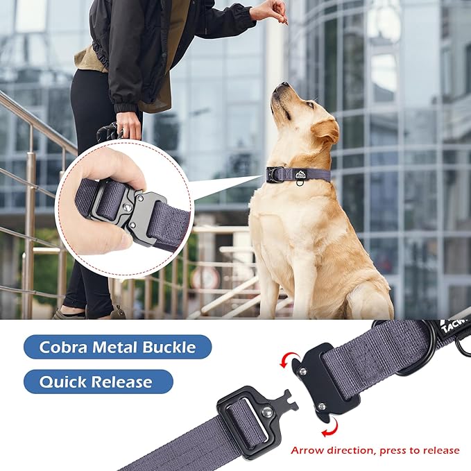 Dog Collar for Small Dogs Christmas Boy Girl - Adjustable, Chew Proof Nylon Collar with Metal Quick Release Buckle and D-Ring for Dog Tags (Montana Moonrise, S)(not Included The Pendant)