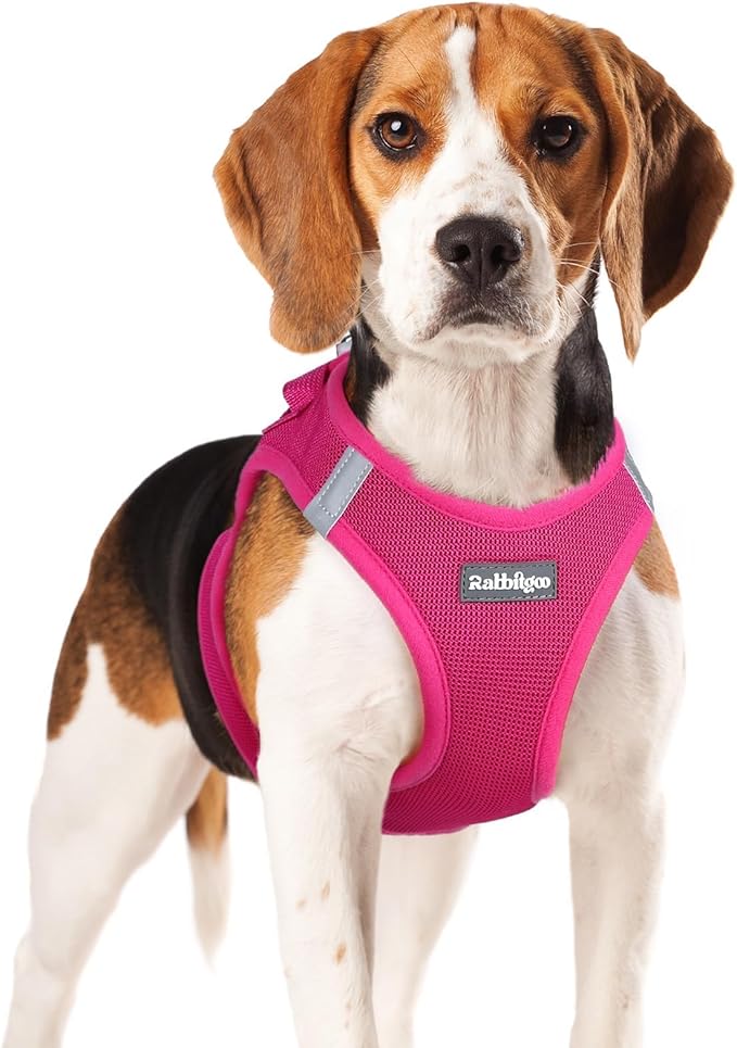 rabbitgoo Small Dog Harness, Step-in Soft Mesh Puppy Vest with Safety Buckle, Breathable Reflective Pet Harness for Small Medium Dogs, Rose Red XL
