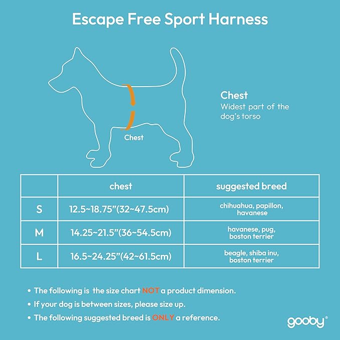 Gooby Escape Free Sport Harness - Turquoise, Small - No Choke Step-in Patented Neoprene Dog Harness with Four-Point Adjustment for Small to Medium Dogs