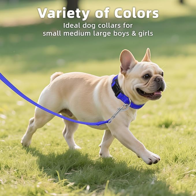 Reflective Dog Collar for Small Dogs, Soft Neoprene Padded with Quick Release Buckle, Adjustable Nylon Pet Collar for Walking,Navy Blue,S