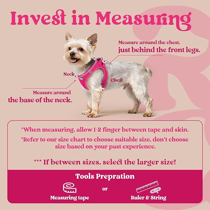 rabbitgoo Small Dog Harness, Step-in Soft Mesh Puppy Vest with Safety Buckle, Breathable Reflective Pet Harness for Small Sized Dogs, Rose Red S