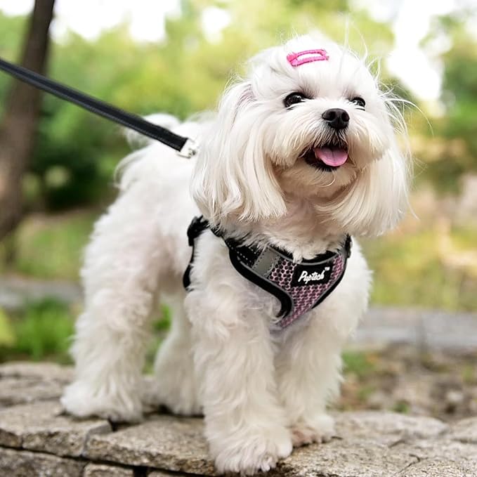 PUPTECK Dog Harness and Leash Set Small Sized, Step in No Pull Adjustable Puppy Cat Harness Reflective Pet Vest