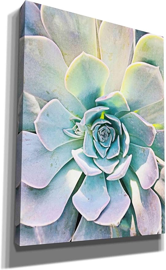 Epic Graffiti 'Unique Succulent' by Irena Orlov, Canvas Wall Art, 40"x54"