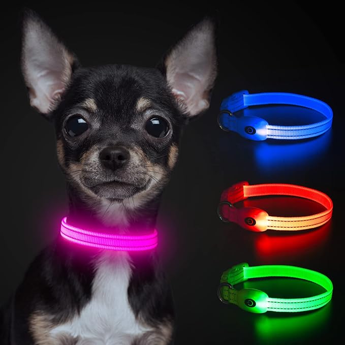 YFbrite Light up Dog Collars for Night Walking, Rechargeable LED Cat Collar, Comfortable Adjustable Lighted Dog Collar Rechargable for Cats, Small, Medium and Large Dogs (Pink, XS)