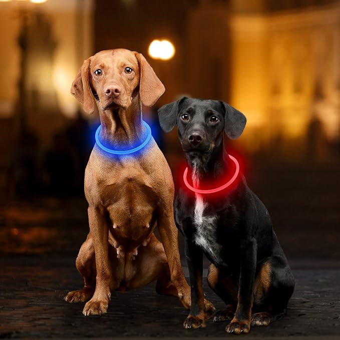 Light Up Dog Collar, Dlitk Rechargeable Cuttable LED Dog Collars, Pet Safety Light at Night Walking for Small Medium Large Dogs, Do Not Use Fast Charging (Blue)