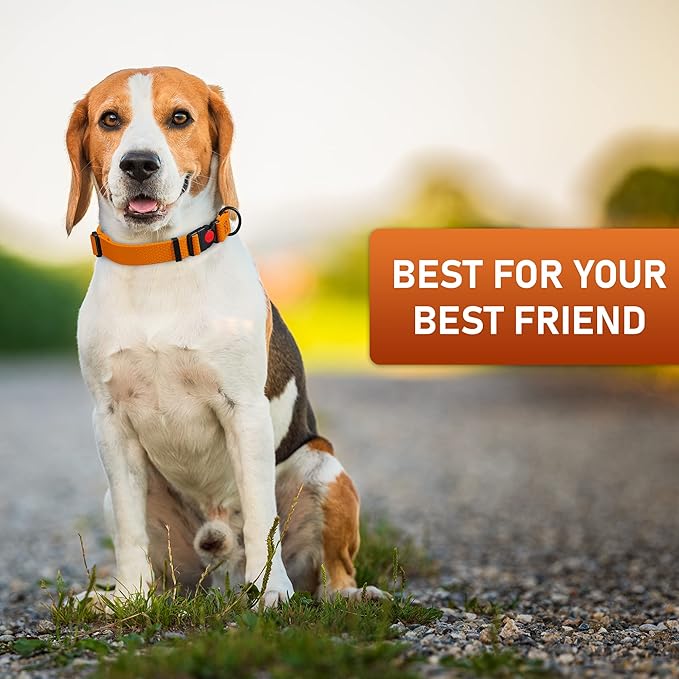 Adjustable Dog Collar with Safety Lock Buckle - Made in USA - Honeycomb Waterproof Heavy Duty Dog Collars for Medium Large Dogs - Odor Proof Pet Collar for Dogs with Strong Zinc D Ring Orange