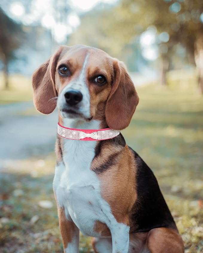 Bling Dog Collar for Small Medium Large Dogs, Crown Rhinestone Dog Collars for Girl and boy Dog, Diamond Puppy Collars, Adjustable Leather Suede SOFE Cat Collar (L(15"-18.1"/38CM-46CM), Rose Red2)