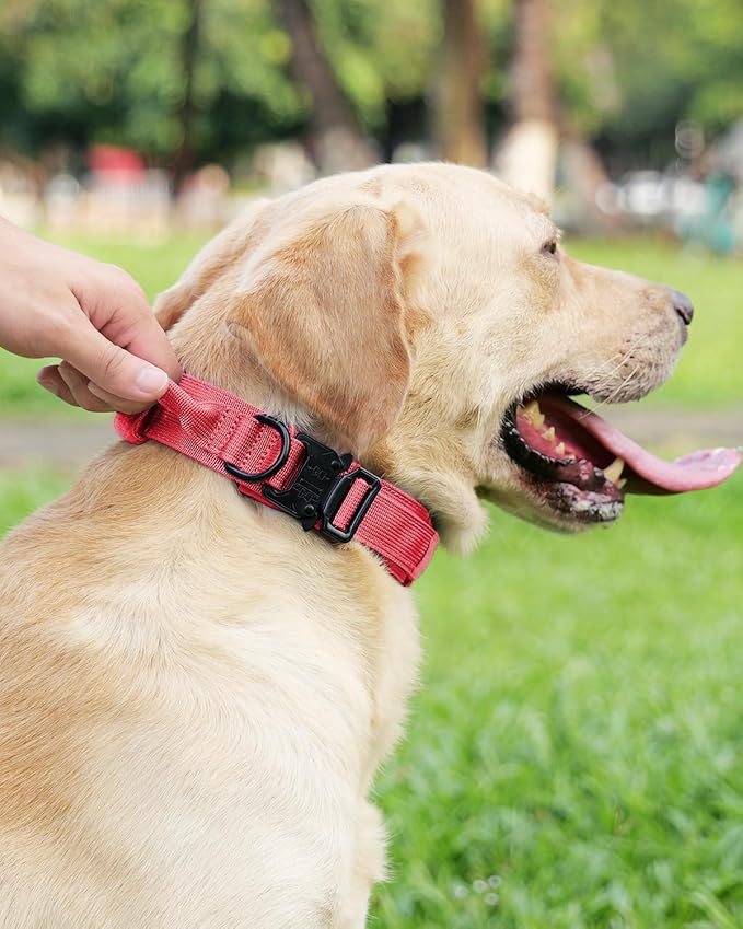 Joytale Tactical Dog Collar with Handle, Adjustable Heavy Duty Military Collar with 2 Patches for Training, Suitable for Medium Dogs, Hotpink, M