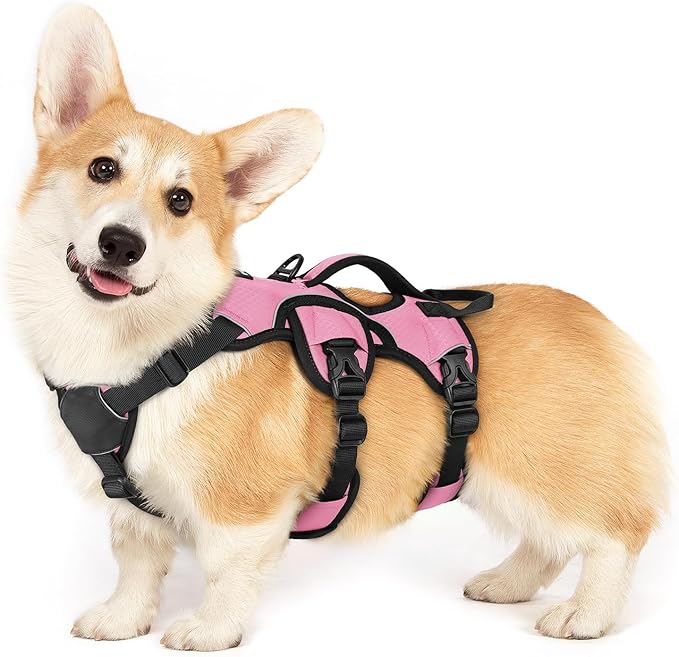 rabbitgoo Escape Proof Dog Harness Small Sized Dog, Soft Padded Full Body Pet Harness, Reflective Adjustable Vest with Lift Handle and Leash Clip for Walking Hiking Training, Light Pink, S