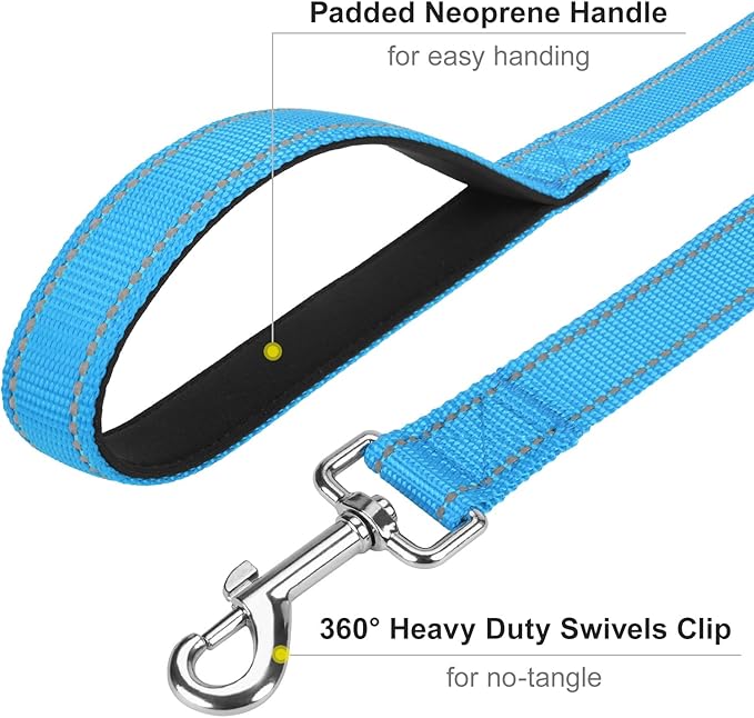 Reflective Dog Leash 6ft Soft Padded Handle Nylon Lead for Medium & Large Dogs, Durable Walking Training Leash for Night Safety (SkyBlue,1Inch Wide)