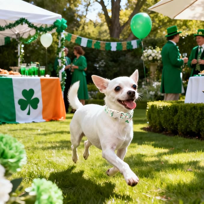 DOGWONG St Patrick's Dog Collar, Green Clover Pet Collar Cotton Flower Shamrock Pet Collar Cute Puppy Collar Adjustable Pet Dog Collars for Small Dogs