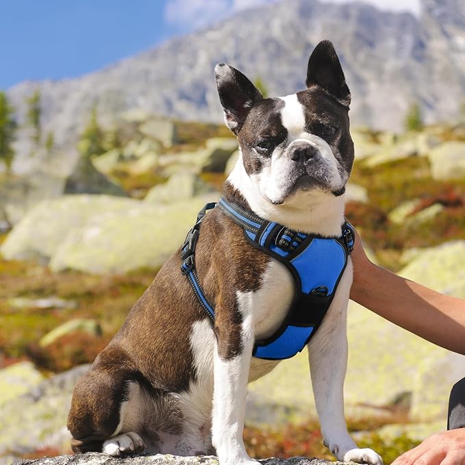 Eagloo Dog Harness Medium Sized Dog, No Pull Service Vest with Reflective Strips and Control Handle, Adjustable and Comfortable for Easy Walking, No Choke Pet Harness with 2 Metal Rings, Blue, M