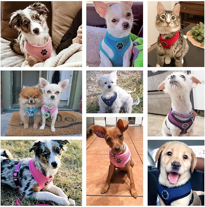 BINGPET No Pull Dog Harness Medium Sized Dog,Breathable Mesh Puppy Cat Harnesses,Adjustable Escape Proof Pet Outdoor Harnesses,Soft & Lightweight Small Dog Harness for Training and Walking,Pink, M