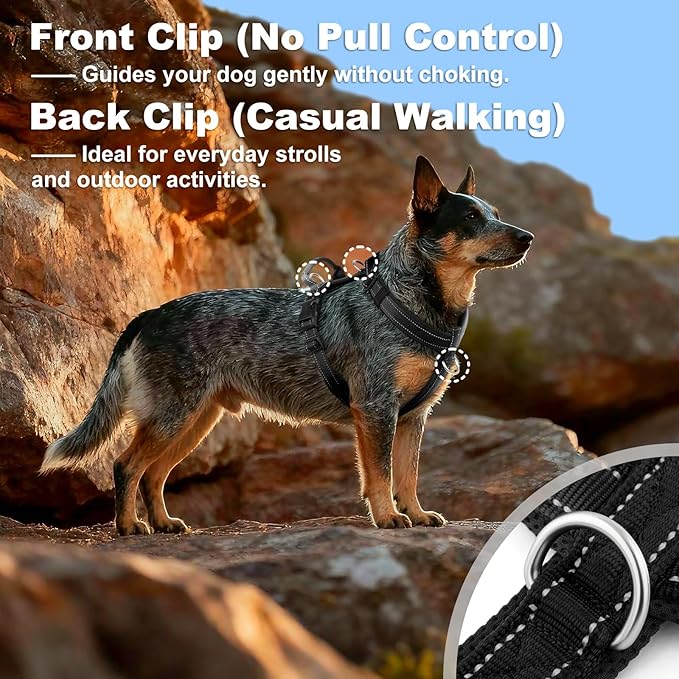 No Pull Dog Harness with Handle, Soft Mesh Padded Adjustable for Small Medium Large Dogs | Reflective Easy Walk Harness with Front Clip for Training, Running & Outdoor (Black, XS)