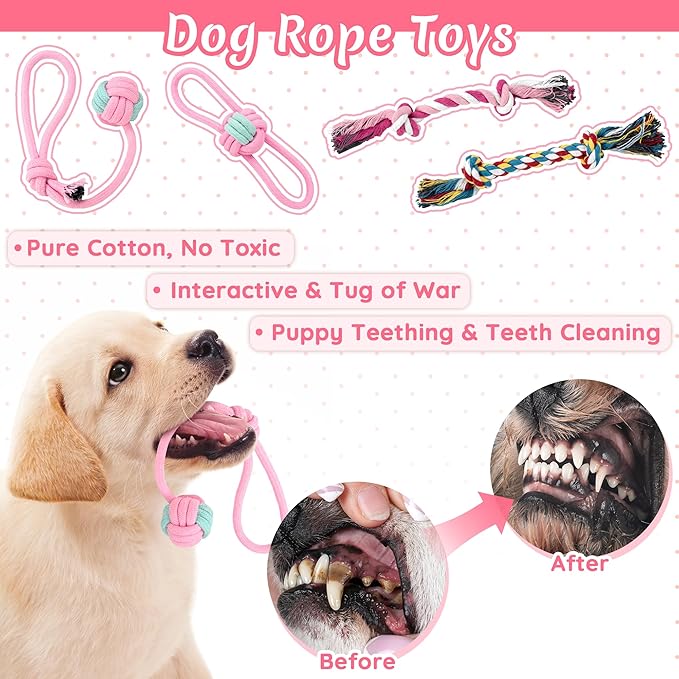 12 Pack Puppy Toys for Teething, Small & Medium Dogs – Chew Toys, Rope Toys & Interactive Dog Toys Set with Storage Box for Training, Play & Boredom Relief