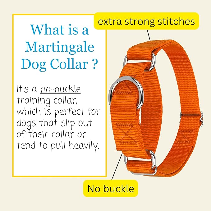 Country Brook Petz - Martingale Dog Collar - Heavy-Duty Training Collar with No Buckle - Service Dog Collar for All Pups - 10+ Warm Colors (Orange, 1 Inch, Extra Large)