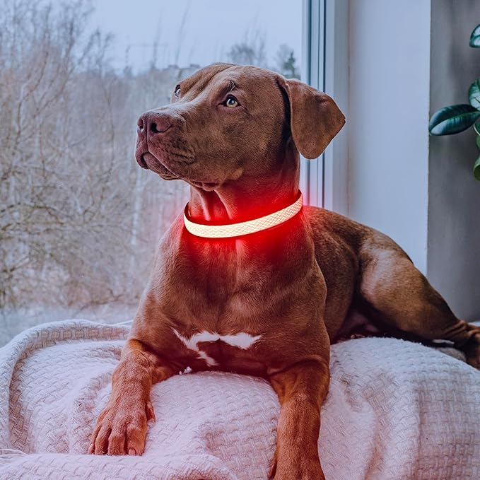 LED Dog Collar, Light Up Dog Collar USB Rechargeable, Brightest Dog Lights for Night Walking, Adjustable Dog Collar Light for Dog Safety(Large, Ruby Red)