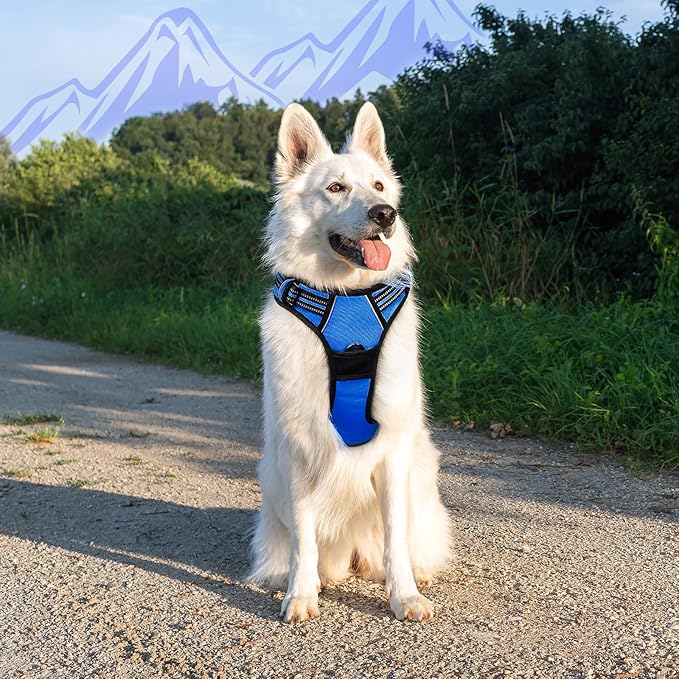Eagloo Dog Harness for Large Dogs, No Pull Service Vest with Reflective Strips and Control Handle, Adjustable and Comfortable for Walking, No Choke Pet Harness with 2 Metal Rings, Blue, XL