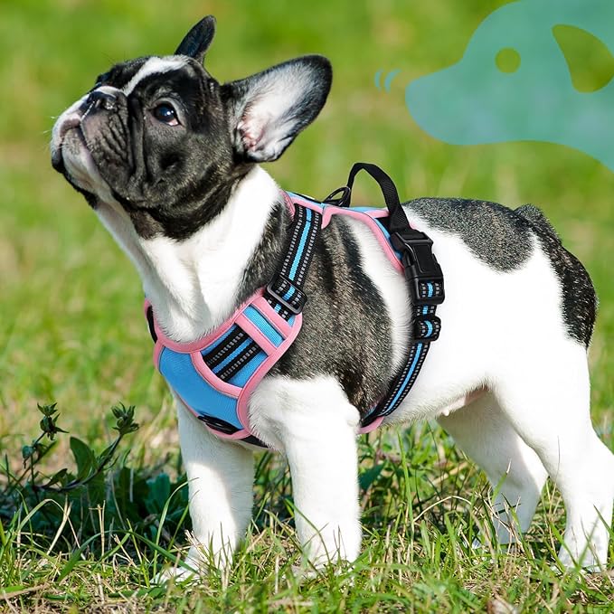 Eagloo Dog Harness Small Sized Dog, No Pull Service Vest with Reflective Strips and Control Handle, Adjustable and Comfortable for Walking, No Choke Pet Harness with 2 Metal Rings, Pink & Blue, S