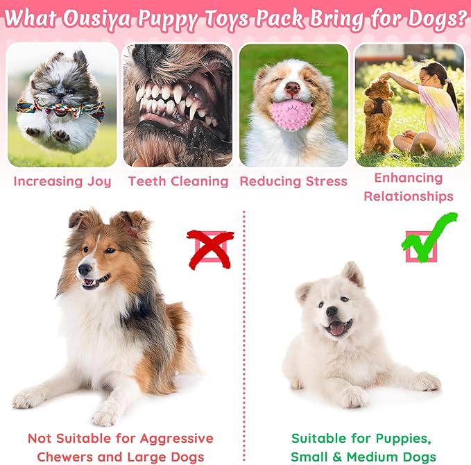 12 Pack Puppy Toys for Teething, Small & Medium Dogs – Chew Toys, Rope Toys & Interactive Dog Toys Set with Storage Box for Training, Play & Boredom Relief