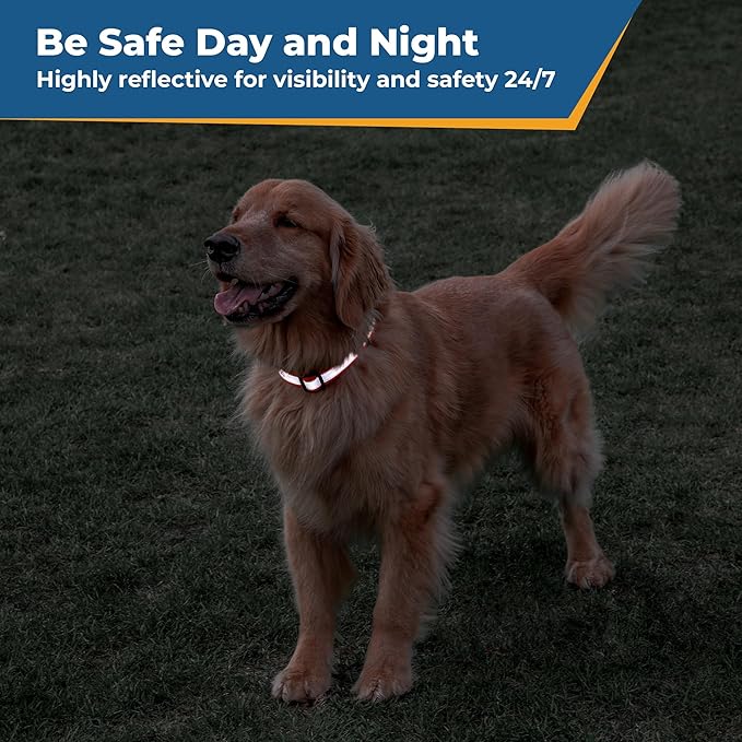 GoTags Reflective Personalized Dog Collar, Custom Embroidered Safety Collar with Pet Name and Phone Number for Boy and Girl Dogs, Small, Medium, and Large Adjustable Sizes (Medium, Light Gray)