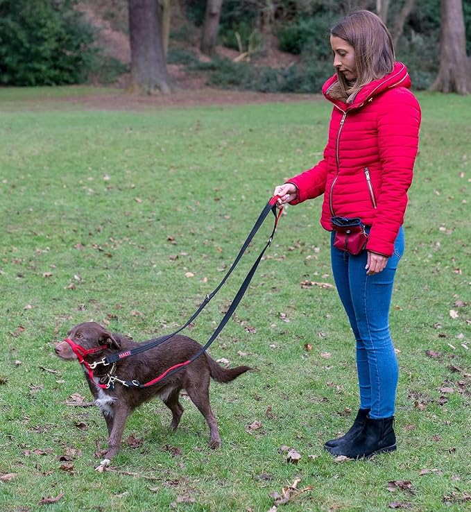 Halti Control Leash - Multifunctional Double-Ended Dog Leash with 2 Handles. Ideal for Anti-Pulling Dog Training. Lightweight & Durable. Suitable for Dogs & Puppies (Size Large, Black, 2m)