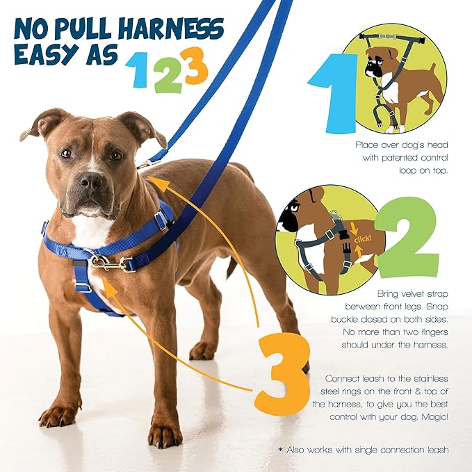 2 Hounds Design - Freedom No-Pull Harness & Training Leash in Blue and Rainbow | Dual Leash Loops, No Pulling on Walks | Lined to Prevent Chaffing | for Small Sized Dogs (Size S, Chest 20”- 24”)