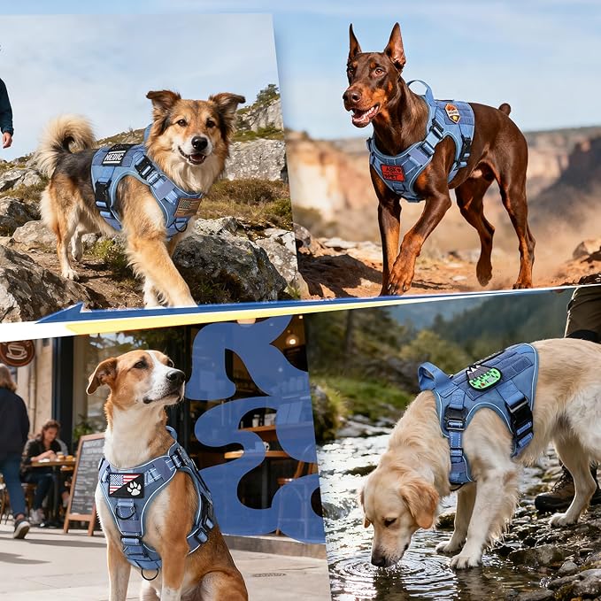 rabbitgoo Tactical Dog Harness for Extra Large Dogs, No Pull Upgraded Reflective Heavy Duty Molle Vest with Handle, Adjustable Military Service Dog Vest for Walking Hiking Training, Blue, XL