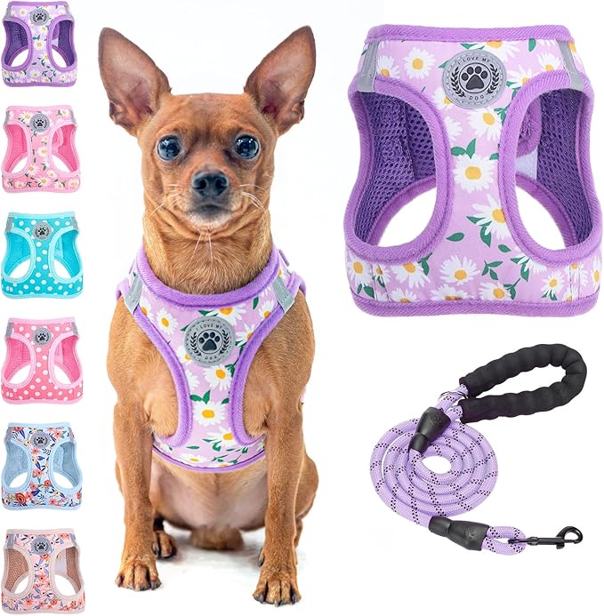 BEAUTYZOO Step in Dog Harness and Leash Set, Floral Pattern Reflective Dog Harness No Pull No Choke Puppy Harness for XXS XS S Dogs Cats, Soft Padded Mesh Vest Harnesses for Girl and Boy Pets