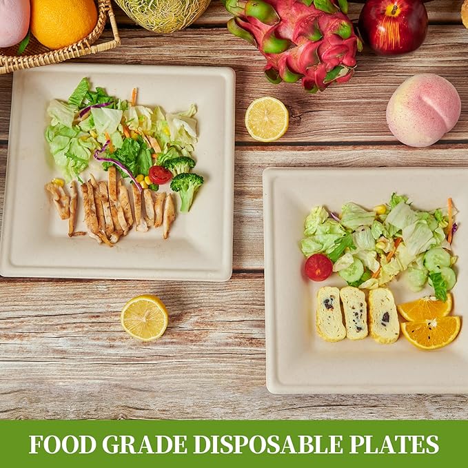 ECOLipak 125 Pack Compostable Square Paper Plates 6 inch Disposable, Eco-friendly Heavy Duty Biodegradable Sugarcane Plates