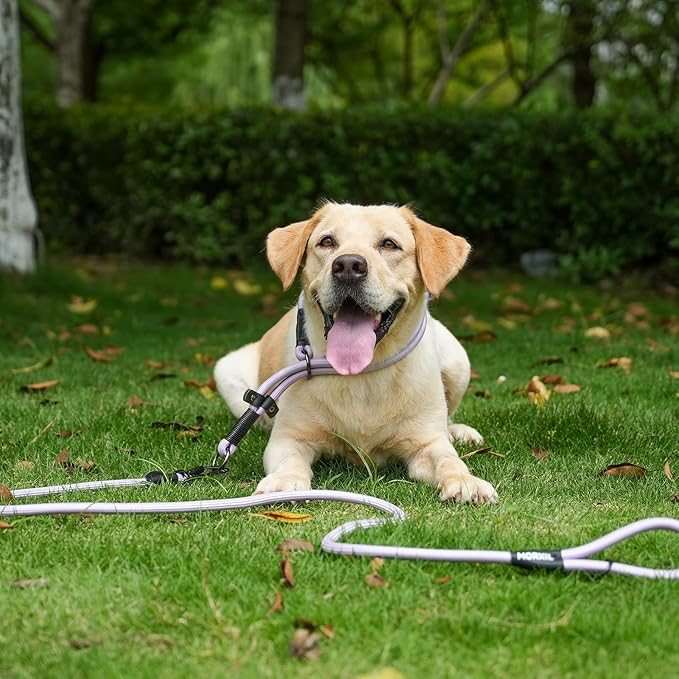 Rope Dog Leash, 4 ft Heavy Duty Dog Leash with Aviation Aluminum Auto Locking Carabiner, Strong Nylon Pet Lead for Small, Medium, Large Dogs (Green, 4FT)
