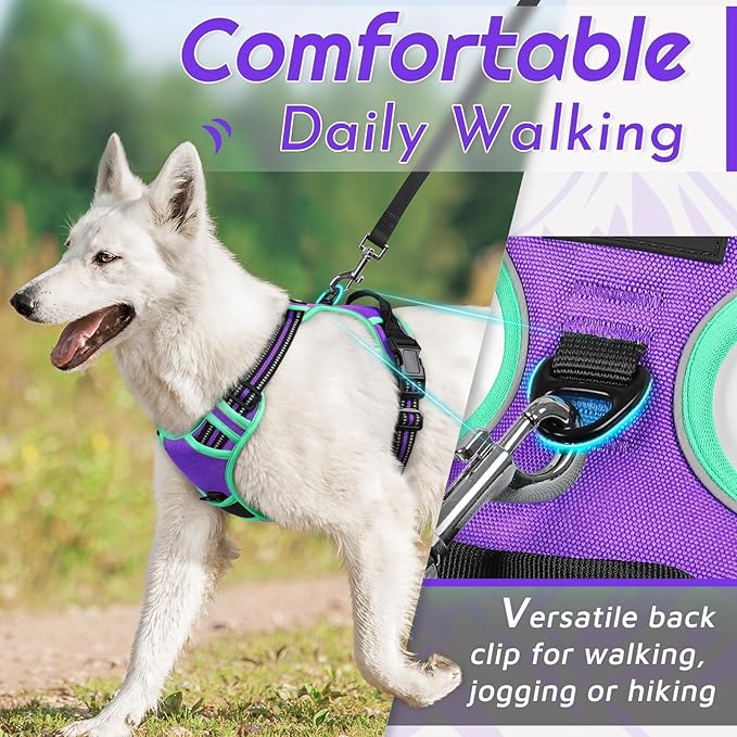 Eagloo Dog Harness Small Sized Dog, No Pull Service Vest with Reflective Strips and Control Handle, Adjustable and Comfortable for Walking, No Choke Pet Harness with 2 Metal Rings, Purple & Green, S