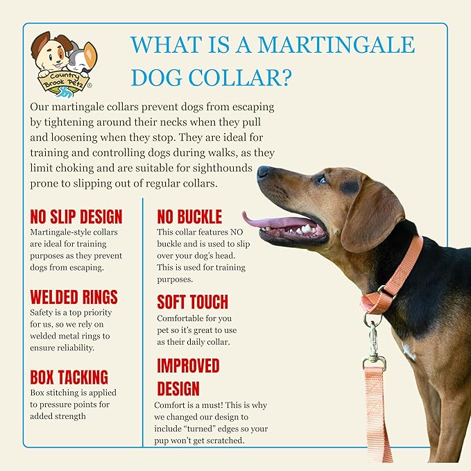 Country Brook Petz - Martingale Dog Collar - Heavy-Duty Training Collar with No Buckle - Service Dog Collar for All Pups - 10+ Warm Colors (Mango, 5/8 Inch, Extra Small)