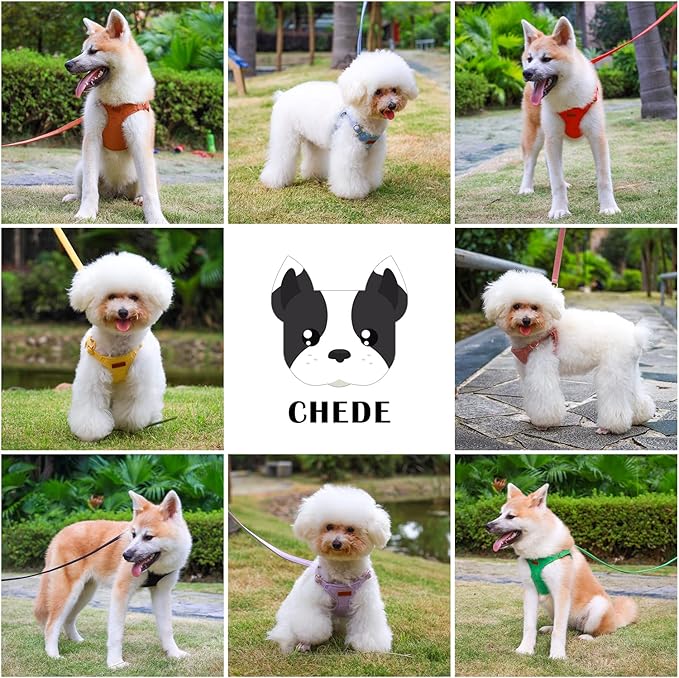 CHEDE No Pull Puppy Harness and Multifunction Dog Leash Set- 8 Colors Soft Adjustable No Choke Escape Proof Cute,Lightweight Pet Vest Harness for Small and Medium Dog (S, Green)