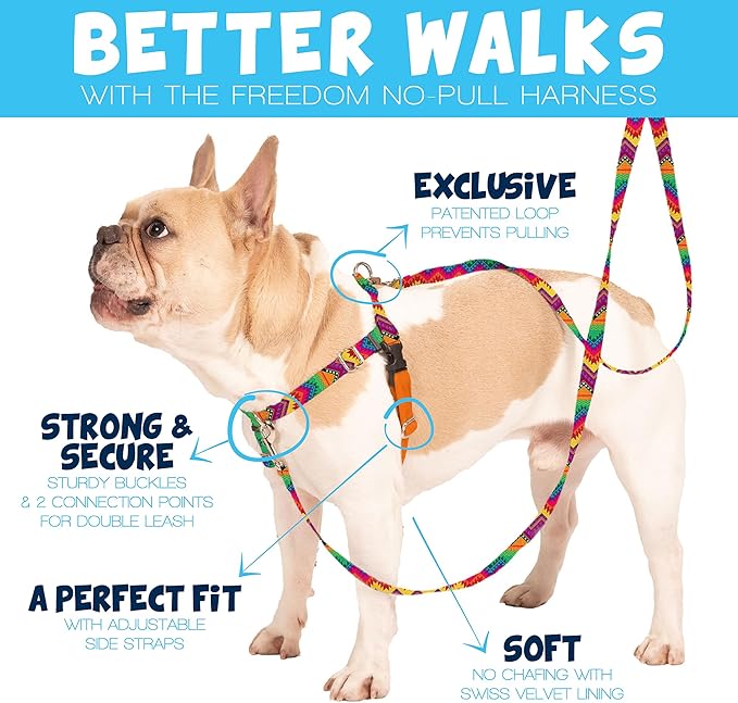 2 Hounds Design - Freedom No-Pull Harness & Training Leash in Tie-Dye | Dual Leash Loops, No Pulling on Walks | Lined to Prevent Chaffing | for Large Sized Dogs (Size M, Chest 24”- 28”)
