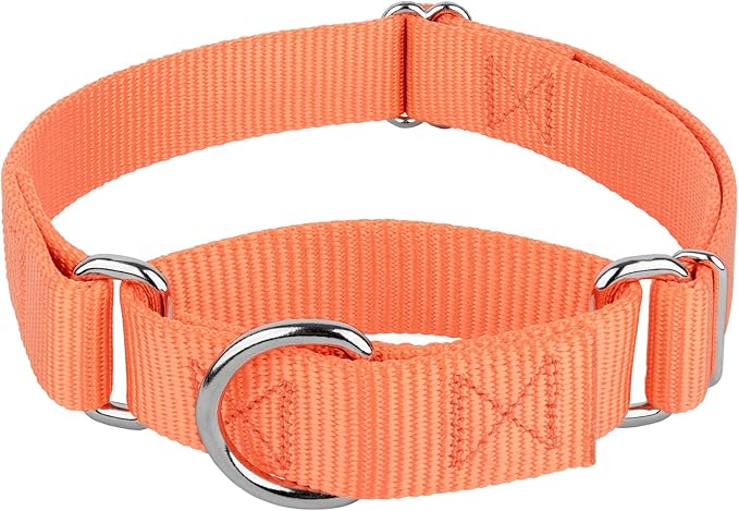 Country Brook Petz - Martingale Dog Collar - Heavy-Duty Training Collar with No Buckle - Service Dog Collar for All Pups - 10+ Warm Colors (Mango, 5/8 Inch, Extra Small)