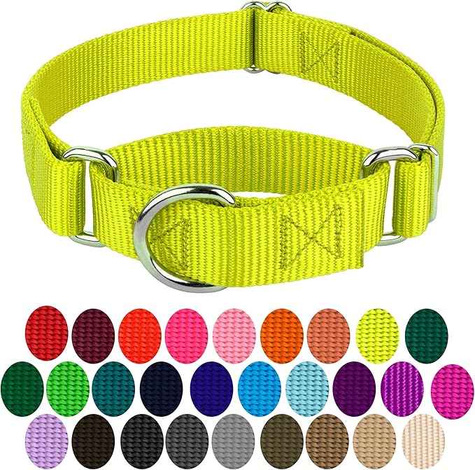 Country Brook Petz - Martingale Dog Collar - Heavy-Duty Training Collar with No Buckle - Service Dog Collar for All Pups - 10+ Warm Colors (Hot Yellow, 3/8 Inch, 3XS)