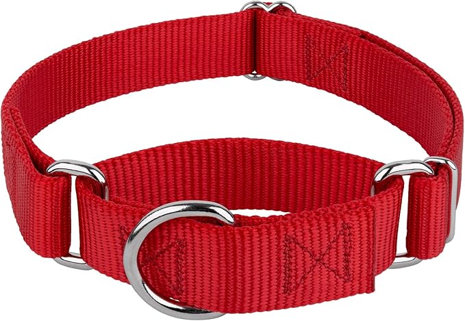 Country Brook Petz - Martingale Dog Collar - Heavy-Duty Training Collar with No Buckle - Service Dog Collar for All Pups - 10+ Warm Colors (Red, 1 Inch, Medium)
