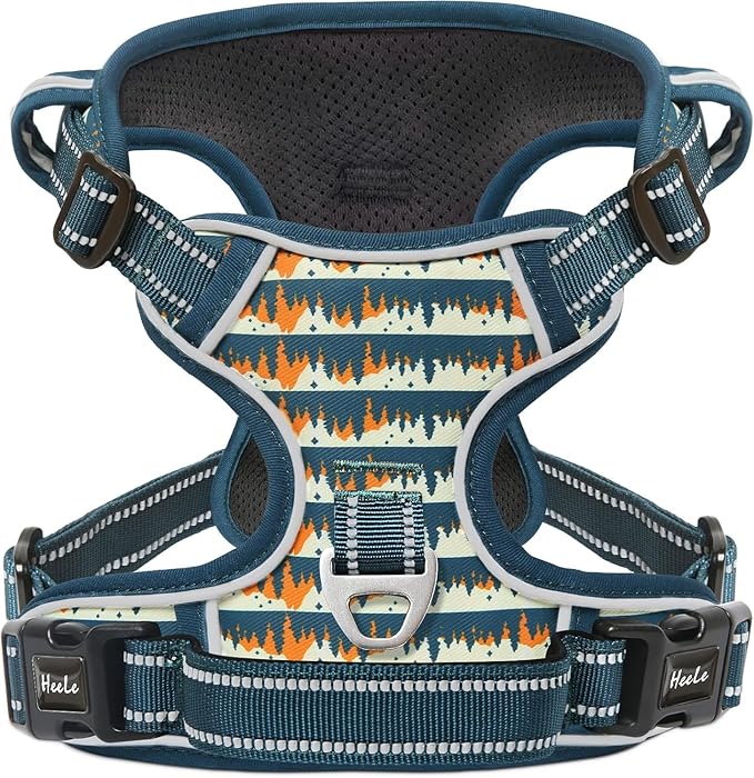 HEELE Dog Harness, No Pull Adjustable Padded Reflective Harness for Small Medium Large Dogs with Handle for Walking Training, Flower-Sunset Valley, L