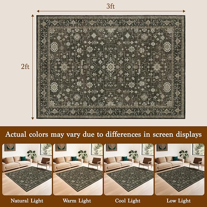 LBRO2M Farmhouse Rug 2X3 Washable Rugs for Kitchen Entryway Bathroom, Vintage Non Slip Area Rugs Soft Low Piles (2X3 Dark Brown)